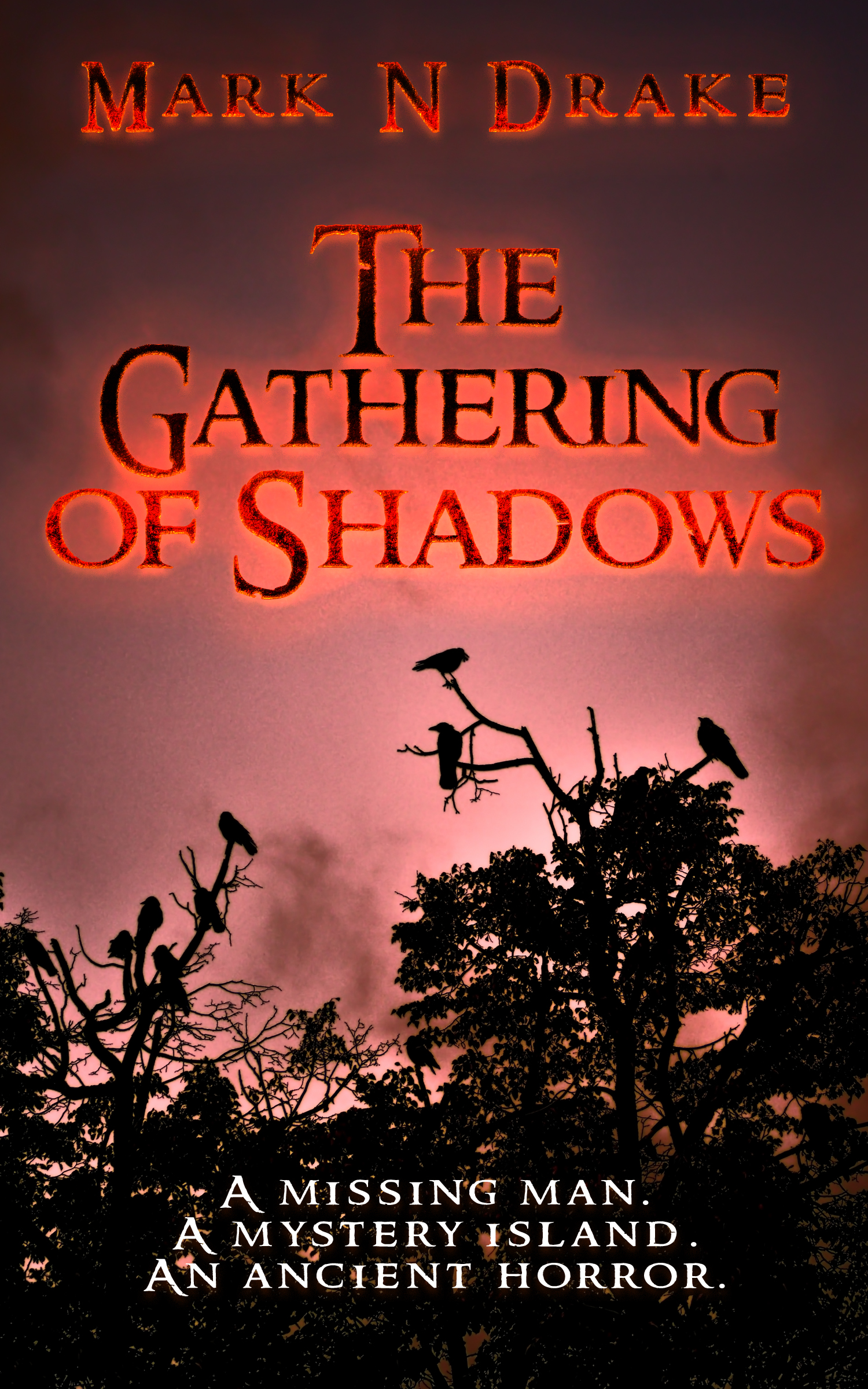 The Gathering of Shadows – Mark N Drake